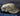 US Military OCP Patrol Cap [LIQUIDATION]