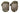 US Army Mcguire Nicholas OCP Elbow Pad Set