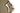 US Marine Corps Coyote ECH NVG Bracket Shroud