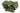 US Army PASGT Parachutist Helmet Pad