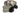 ESS Ballistic Profile Series Helmet Goggles